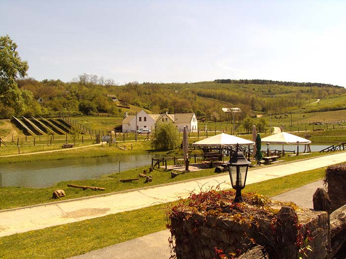 Bodri Cellar