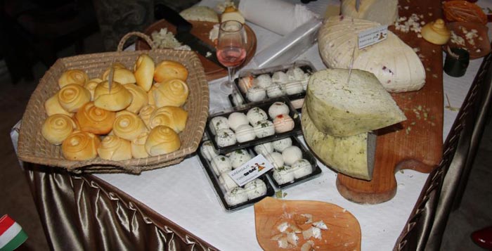 Hungarian Wine and Cheese Festival