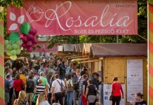 Rosalia 2016